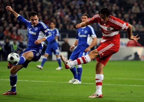 这里都能找 这里都能找